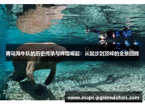 青岛海牛队的历史传承与辉煌崛起：从起步到顶峰的全景回顾