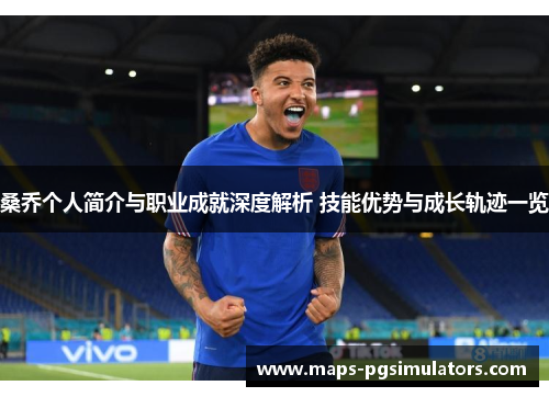 桑乔个人简介与职业成就深度解析 技能优势与成长轨迹一览 桑乔个人简介与职业成就深度解析 技能优势与成长轨迹一览